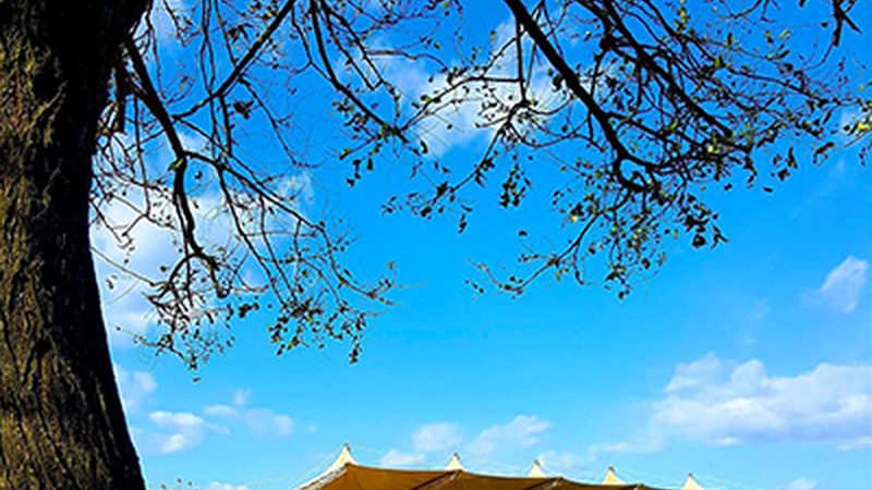 目前，电子元器件市场呈现出以下特点：